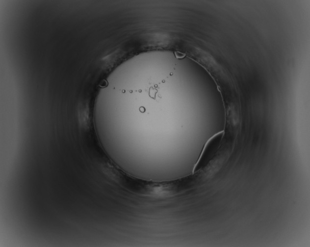 X0000100770564200806191243