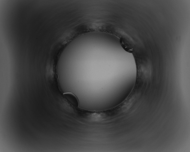 X0000100770566200806191243