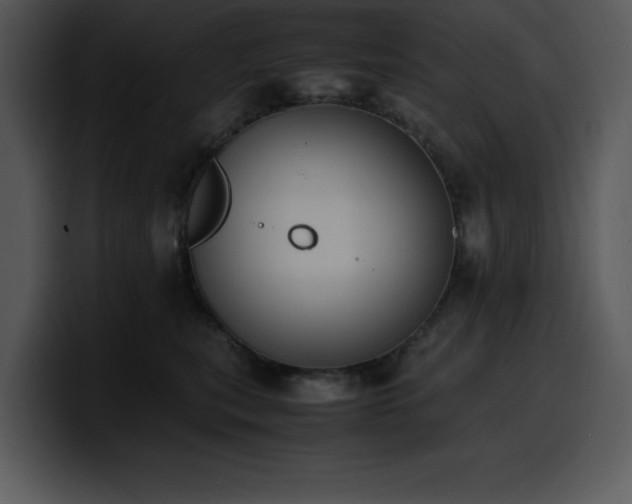 X0000100770567200806191243