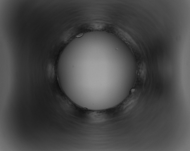 X0000100770568200806191243