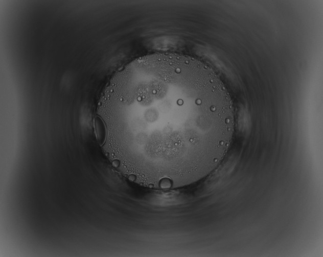 X0000100770569200806191243