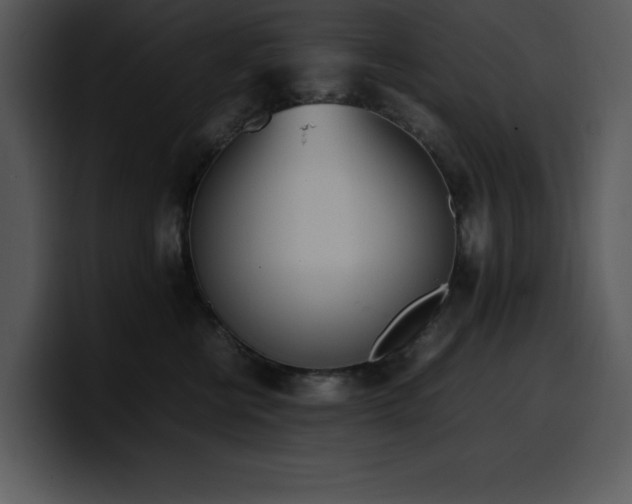 X0000100770570200806191243