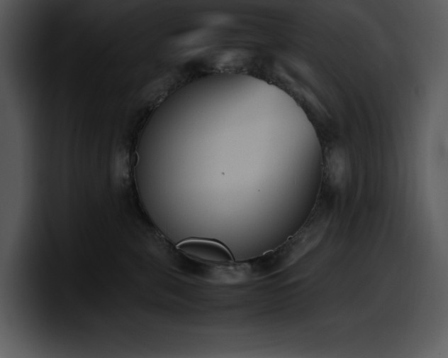 X0000100770571200806191243
