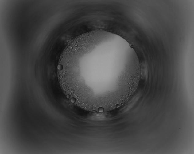 X0000100770573200806191244
