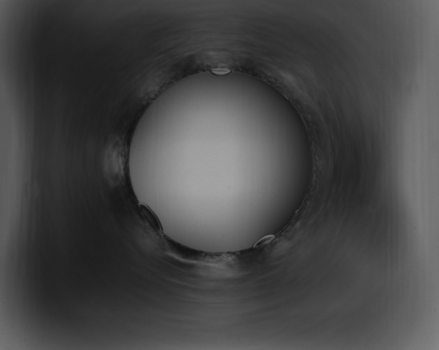 X0000100770576200806191244