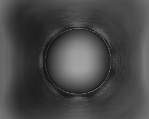X0000100770581200806191243