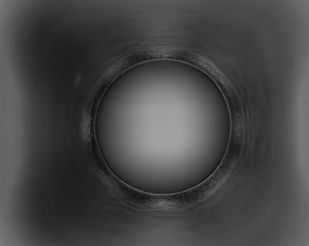 X0000100770585200806191243