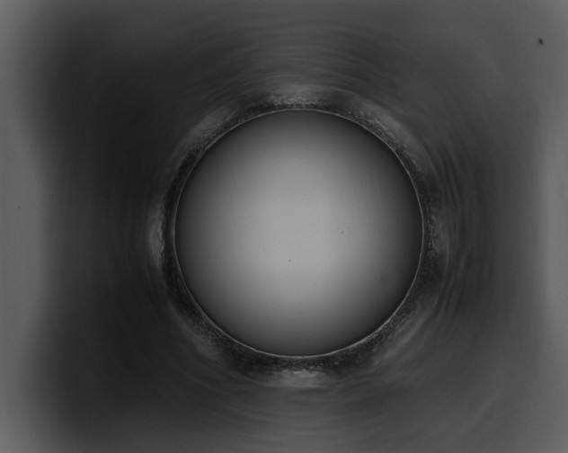 X0000100770586200806191243