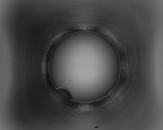 X0000100770587200806191243