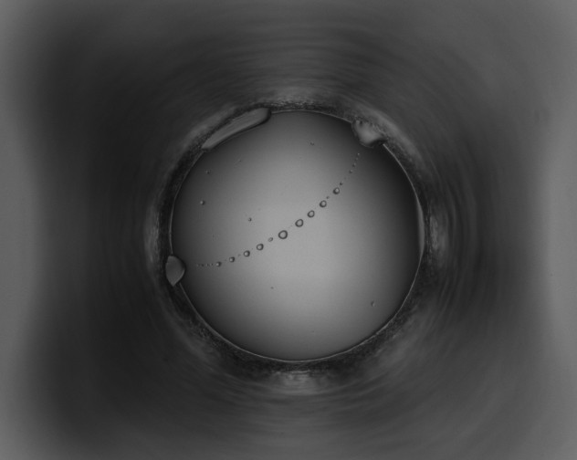 X0000100770588200806191243