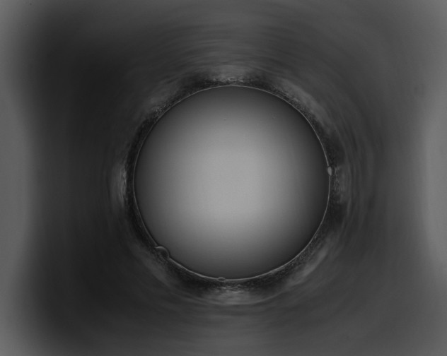 X0000100770589200806191243