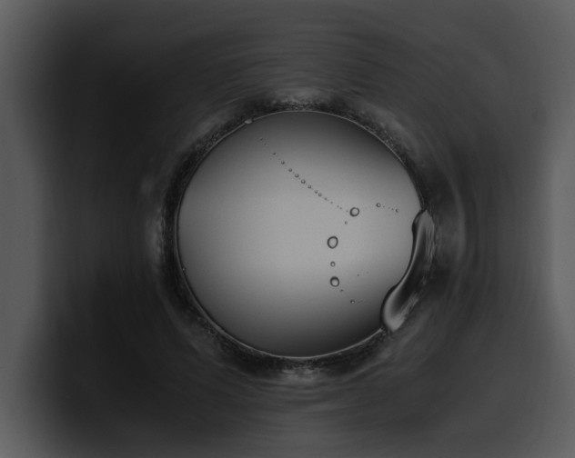 X0000100770591200806191243