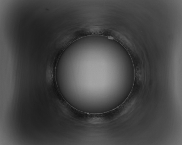 X0000100770593200806191243
