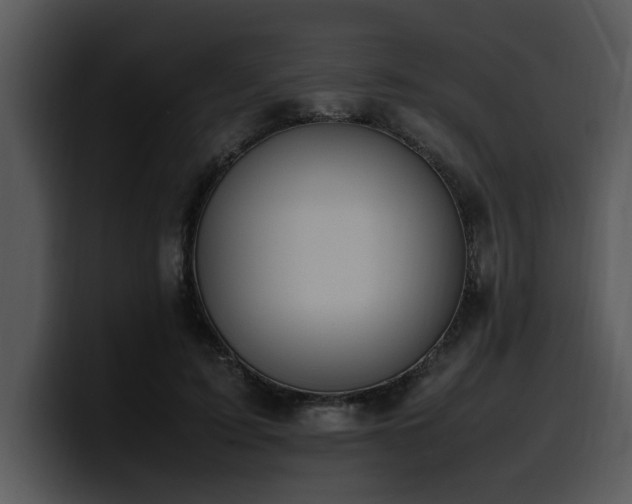 X0000100770595200806191243