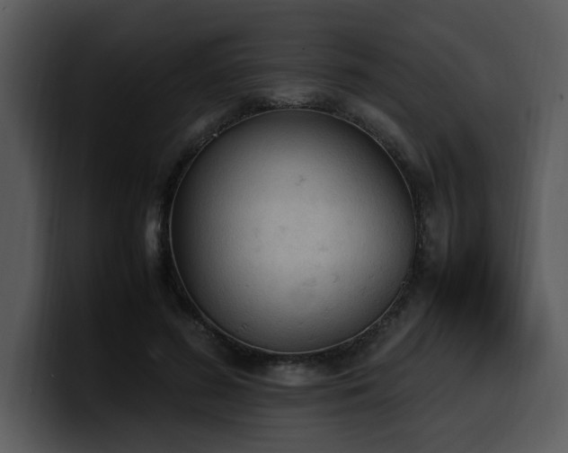 X0000100770596200806191243