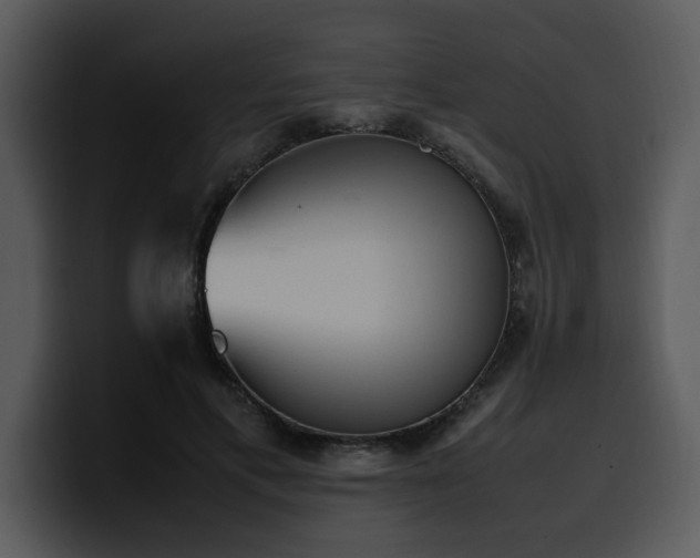 X0000100770597200806191243