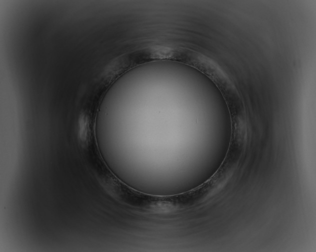 X0000100770598200806191243