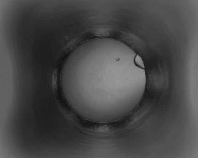 X0000100770600200806191243