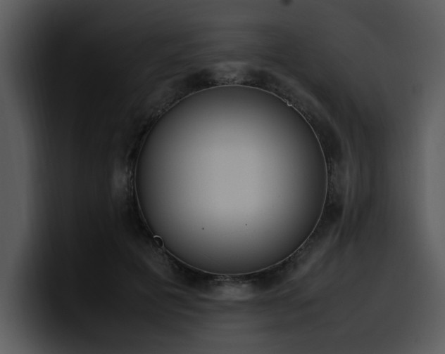 X0000100770601200806191243