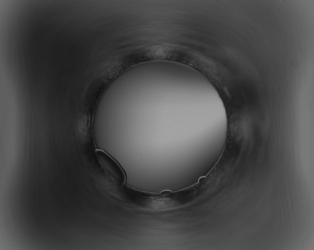 X0000100770605200806191242