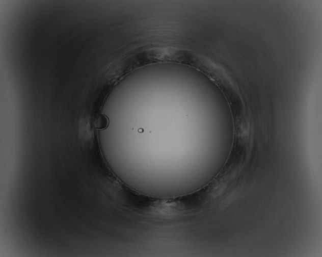 X0000100770607200806191242