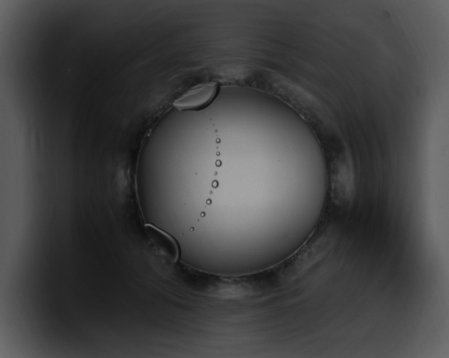 X0000100770608200806191242