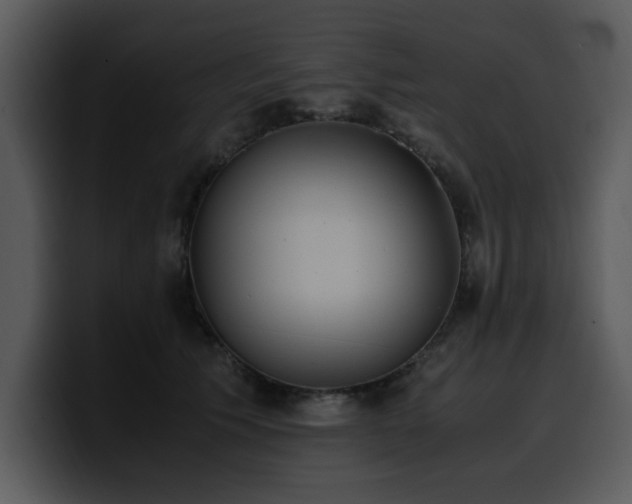 X0000100770609200806191242