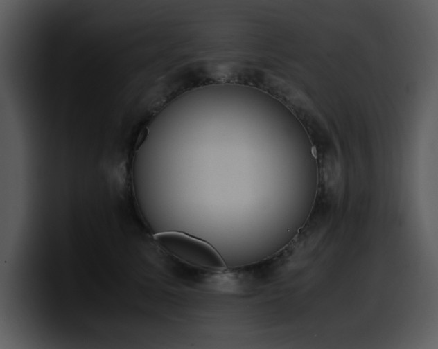 X0000100770611200806191242