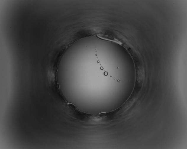X0000100770613200806191242