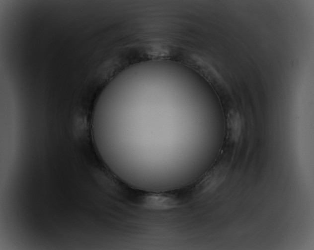 X0000100770614200806191242