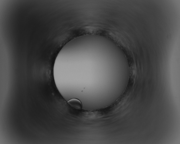 X0000100770615200806191242