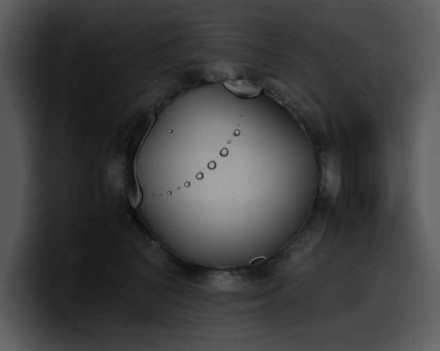 X0000100770616200806191242