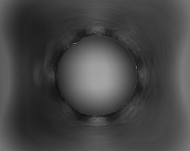 X0000100770617200806191242
