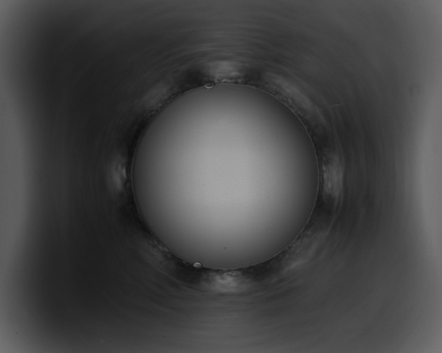 X0000100770618200806191242