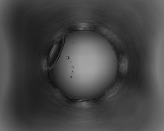 X0000100770620200806191242