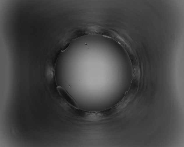 X0000100770621200806191242