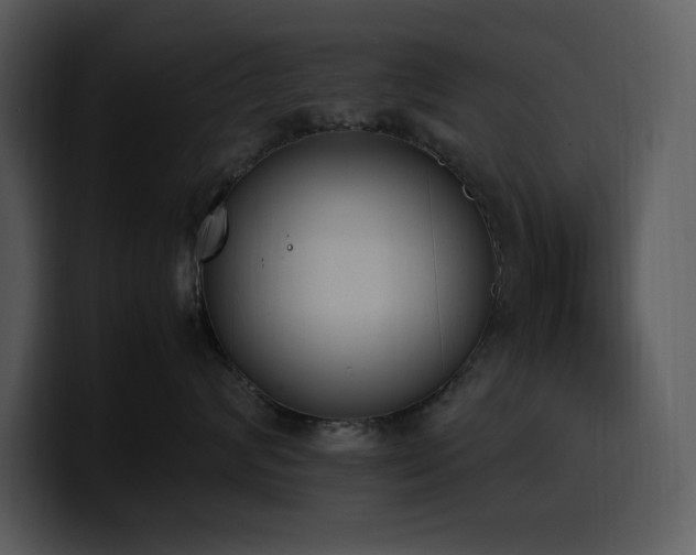 X0000100770624200806191242