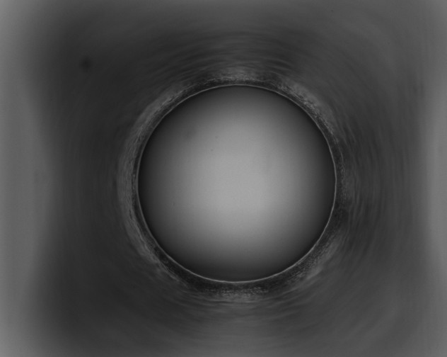 X0000100770625200806191242