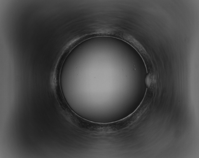 X0000100770628200806191242