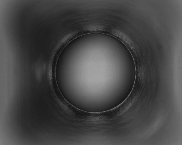 X0000100770629200806191242