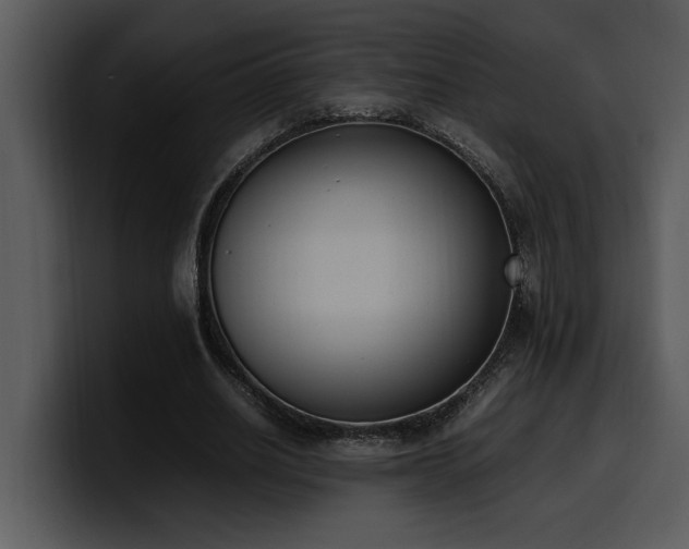 X0000100770630200806191242