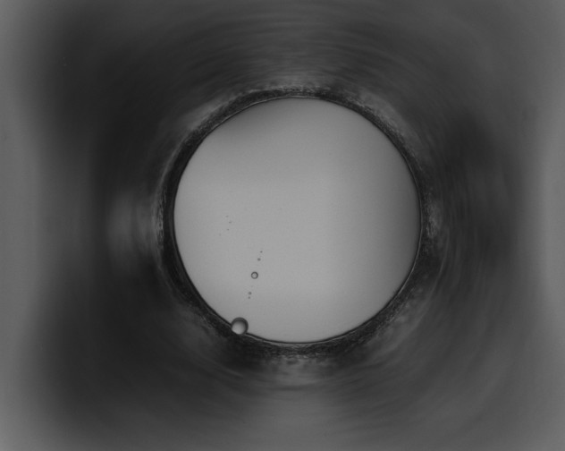 X0000100770632200806191242