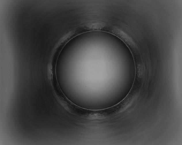 X0000100770634200806191242