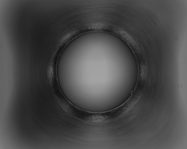 X0000100770636200806191242