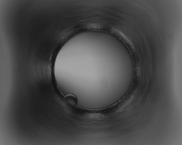 X0000100770637200806191242
