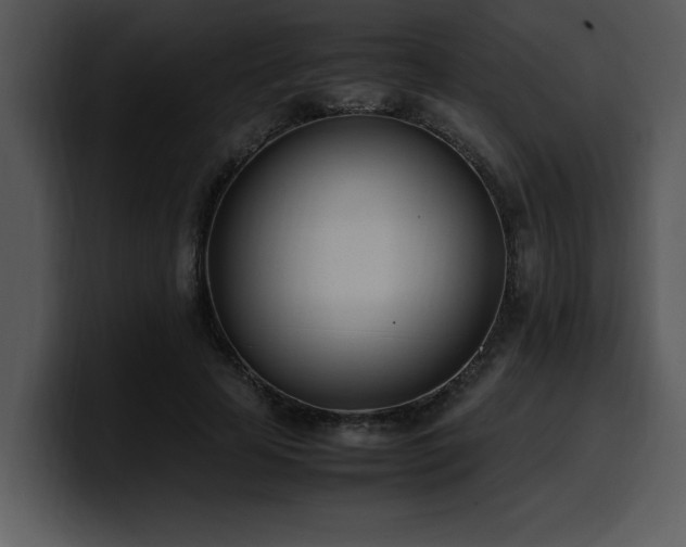 X0000100770641200806191242