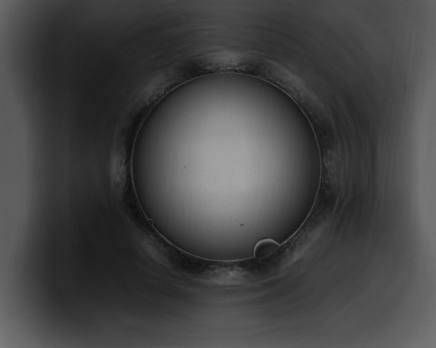 X0000100770642200806191242