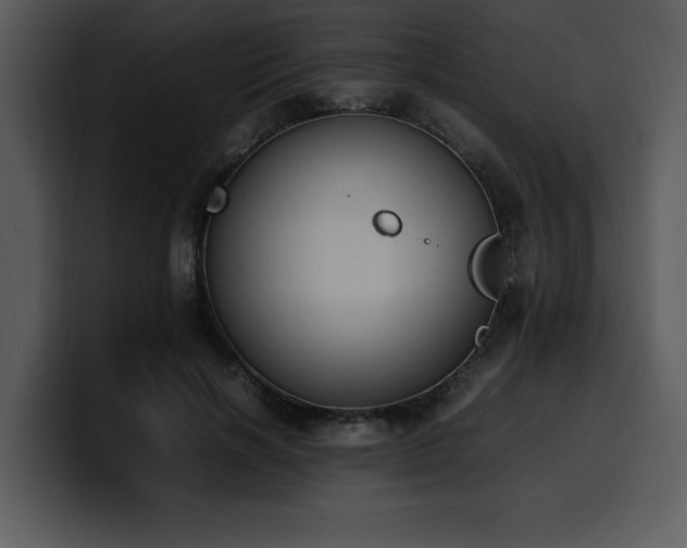 X0000100770646200806191242