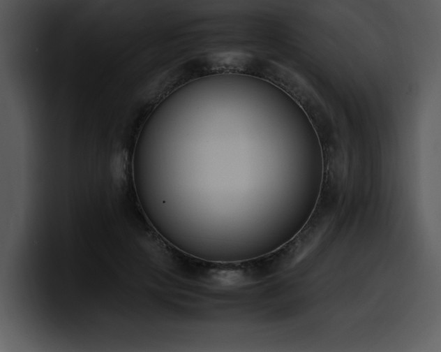 X0000100770649200806191242