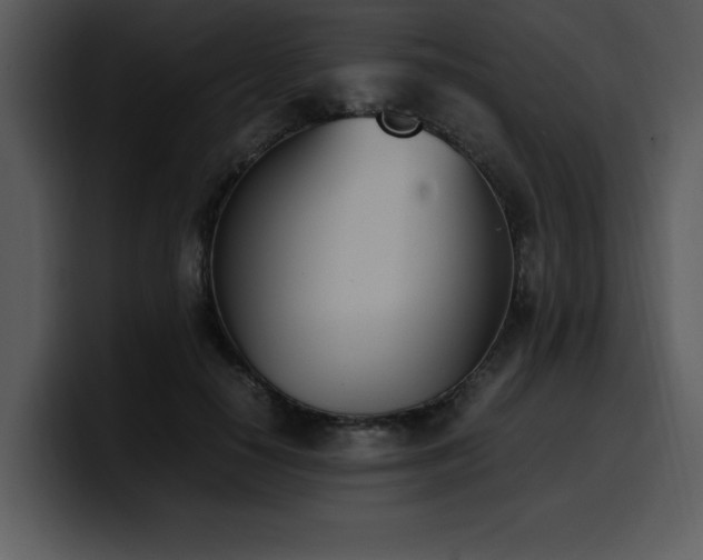 X0000100770650200806191242